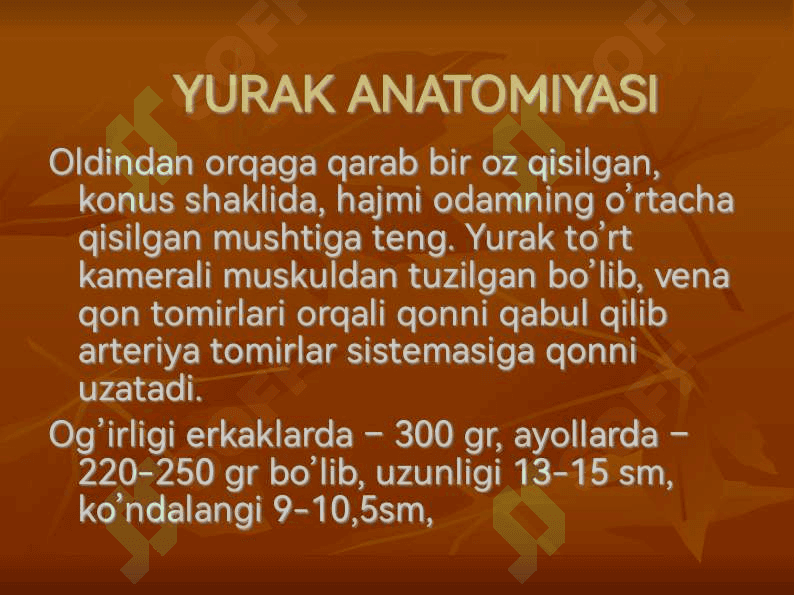YURAK ANATOMIYASI 5