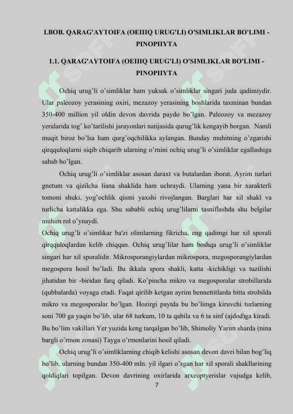 Qarag’aytoifa o’simliklar bo’limi 7