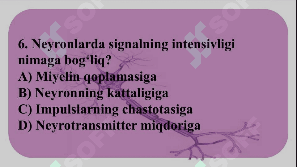 Informatsiyani kodlash mexanizmlari 8