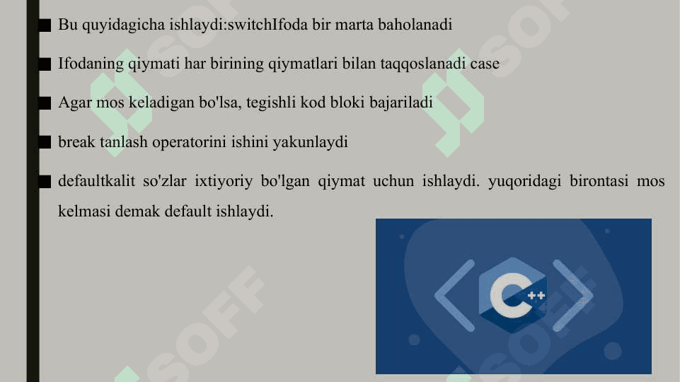 C++ Switch, case ustida amallar 4