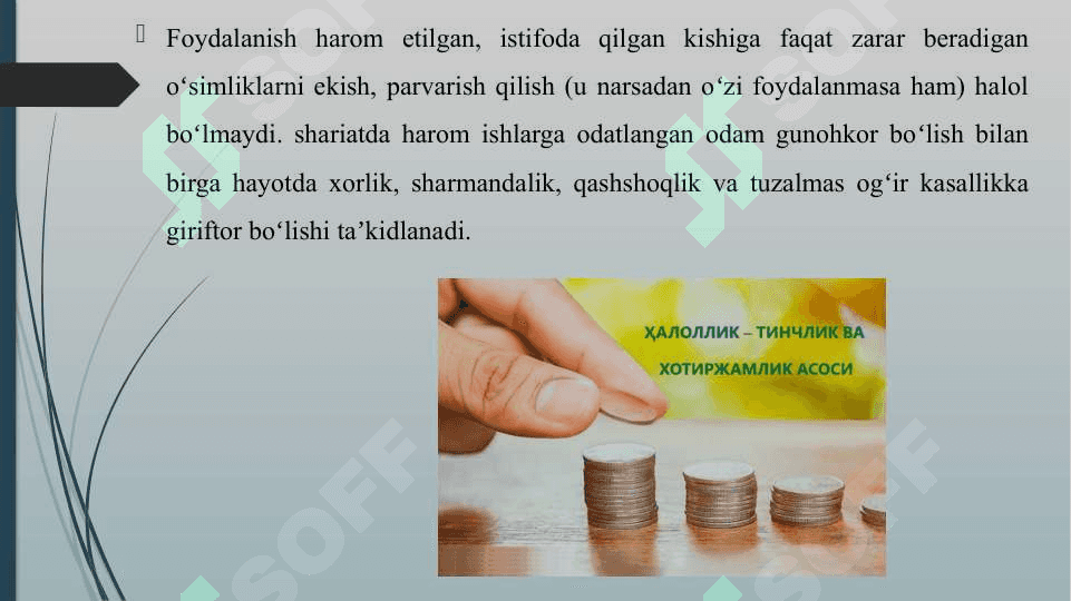 HALOL VA HAROM 6