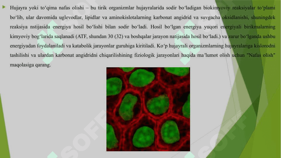 HUJAYRANING NAFAS OLISHI HAQIDA 3