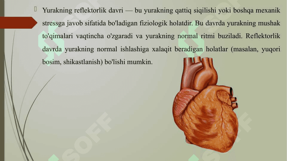 YURAKNING REFLEKTORLIK DAVRI VA EKSTRASISTOLA 3