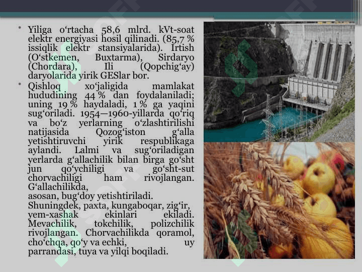 Qozog`iston Respublikasi global iqtisodiy muammolari 6