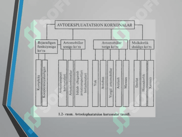Xizmat ko'rsatish korxonalarini loyihalash-avtotransport vositalariga xizmat ko'rsatish 6