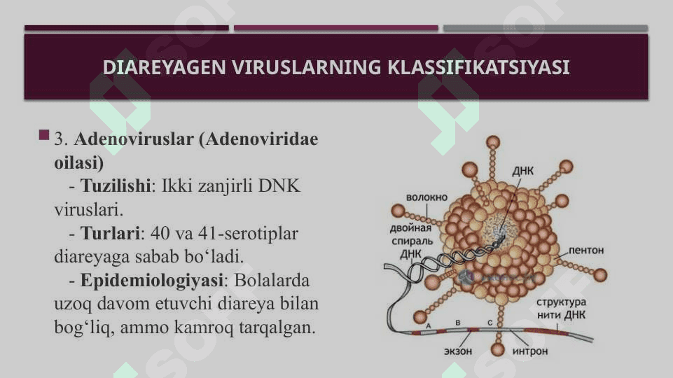 Diareyagen viruslar klassifikatsiyasi patogenezi labaratoriya tashxisi 8