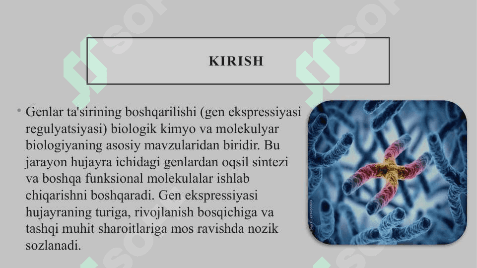 Genlar ta’sirining boshqarilishi 3