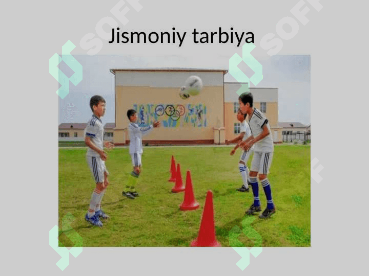 Tarbiya turlari 7