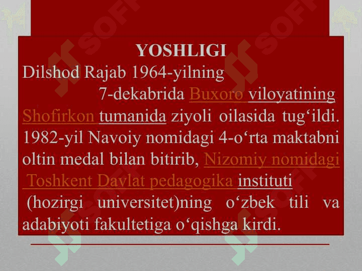 Dilshod Rajab 3