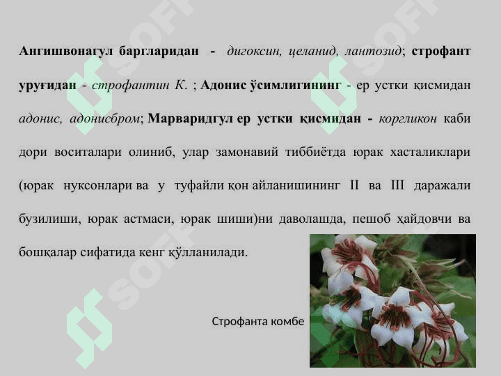 ЮРАК ГЛИКОЗИДЛАРИ 7