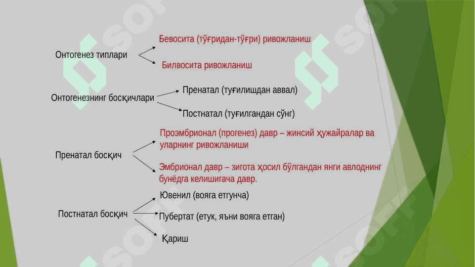 ONTOGENEZ ORGANIZMLARNING INDIVIDUAL RIVOJLANISHI 6