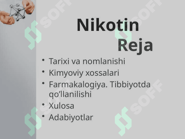 Nikotin 2