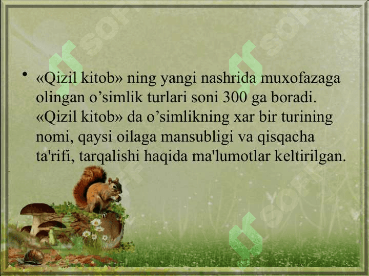 Qizil kitob 7