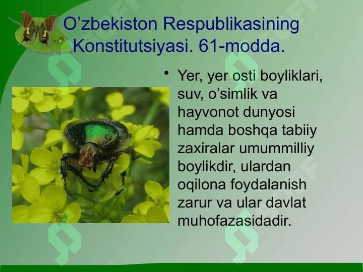O’simliklar dunyosini muhofaza qilish 2