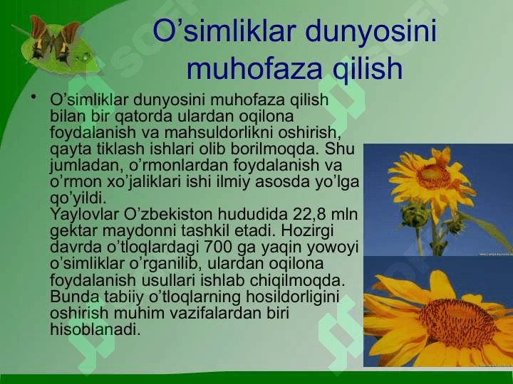 O’simliklar dunyosini muhofaza qilish 4