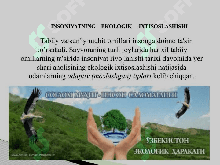 Ekologiya va inson 3