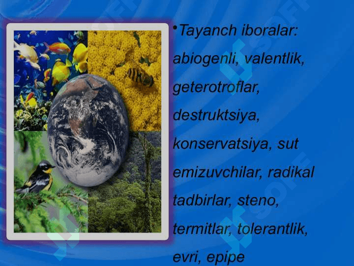 Ekologik omillar 3