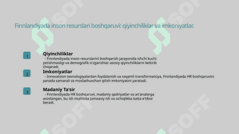 Firlandiyada inson resuslarini boshqarish mexanizimi 8