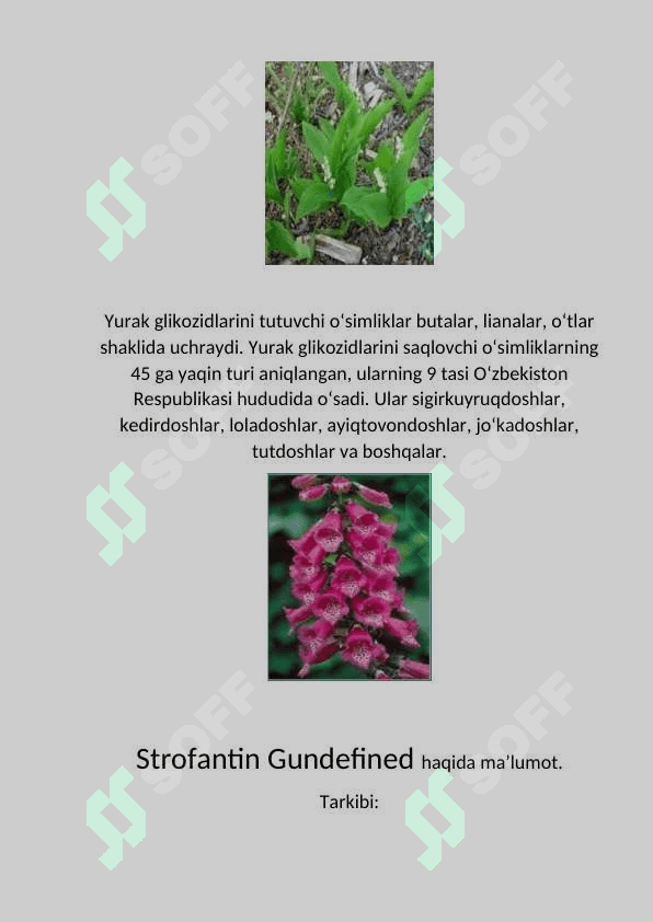 Antioksidantlar 7