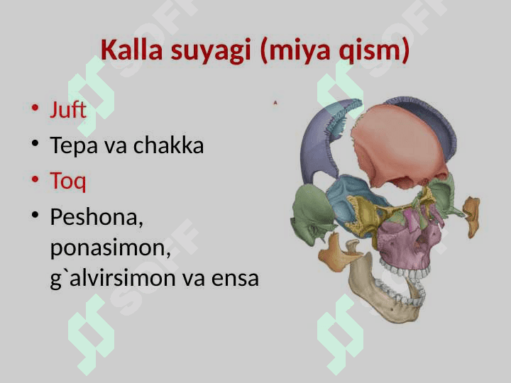 Bosh miya jarohatlari 6
