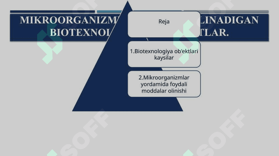 Mikroorganizmlar asosida olinadigan biotexnologik maxsulotlar haqida 2