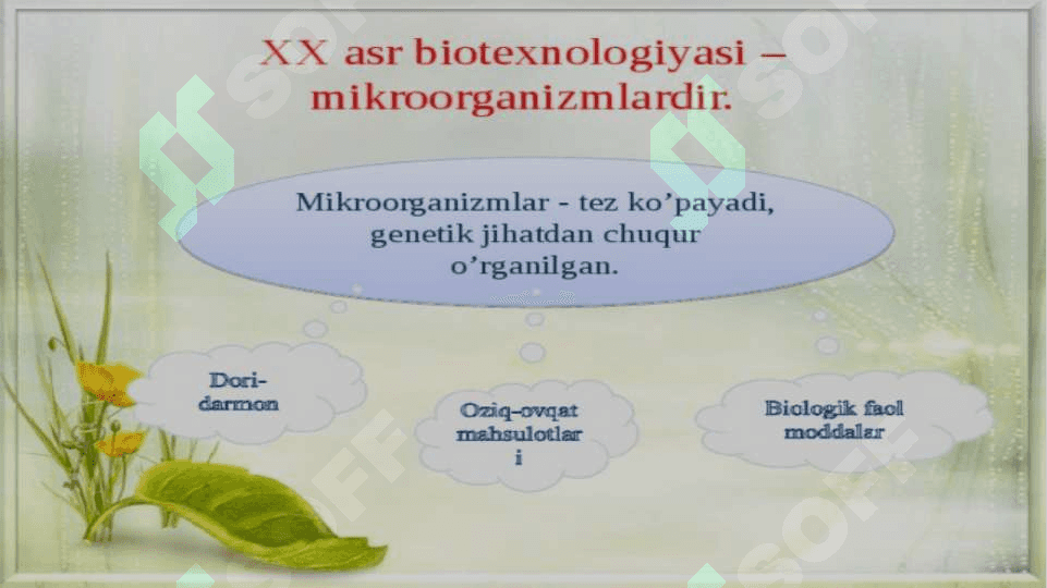 Mikroorganizmlar asosida olinadigan biotexnologik maxsulotlar haqida 3