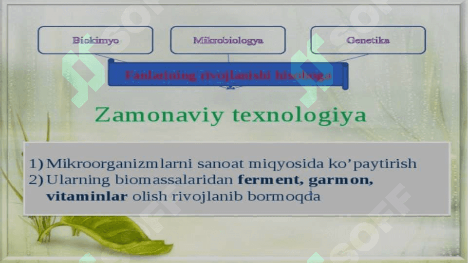 Mikroorganizmlar asosida olinadigan biotexnologik maxsulotlar haqida 4