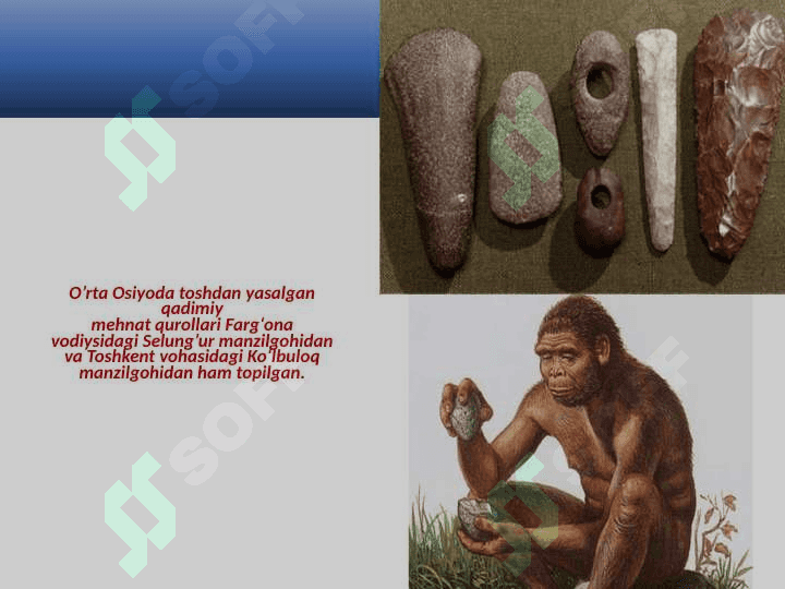 Eng qadimgi odamlarning rivojlanish bosqichlari 8