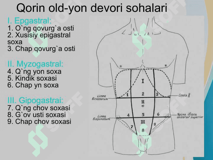 Qorin old va yon devori churralari va ularda operatsiyalar 3