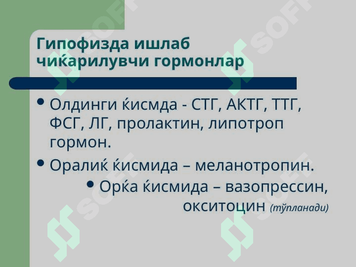 Эндокрин тизим патофизиологияси 8