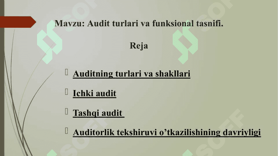 Audit turlari va funksional tasnifi 2