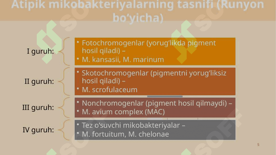 Atipik mikobakteriyalar va ularning amaliyotdagi ahamiyati 5