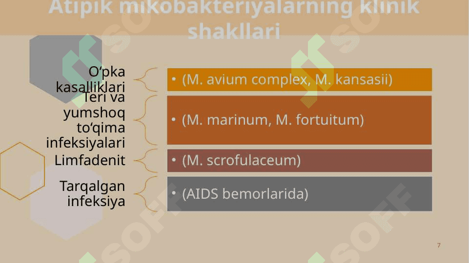Atipik mikobakteriyalar va ularning amaliyotdagi ahamiyati 7