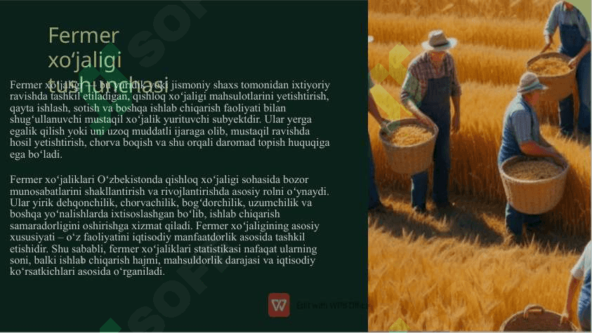 Fermer xoʻjaligi statistikasi SLAYD 3