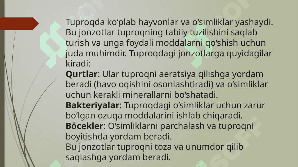 Tuproqda yashovchi jonzotlar 2