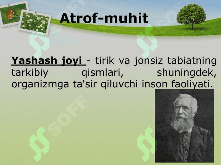 ORGANIZM VA MUHIT 6