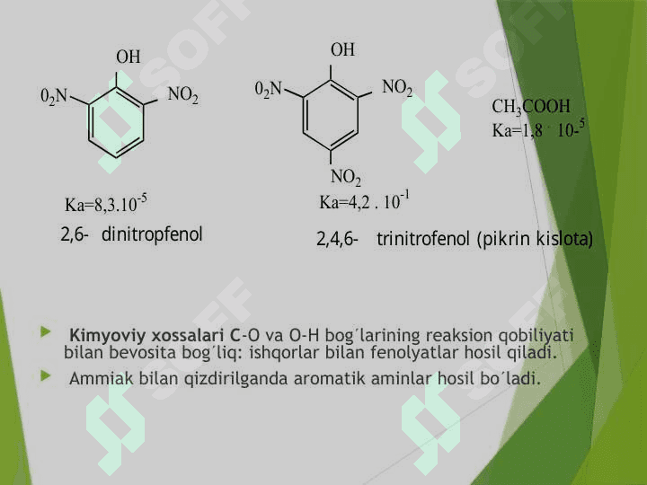 Fenollar 7