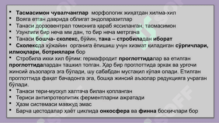Тиббий гельминтология:  тасмасимон чувалчанглар. 6