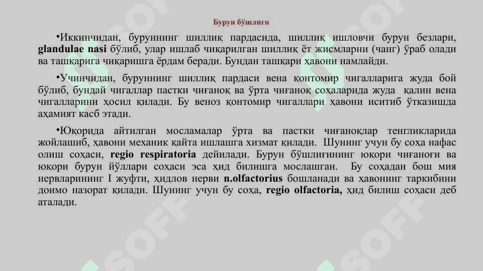 Нафас олиш тизими. Бурун бўшлигининг тузилиши. Хиқилдоқ. 5