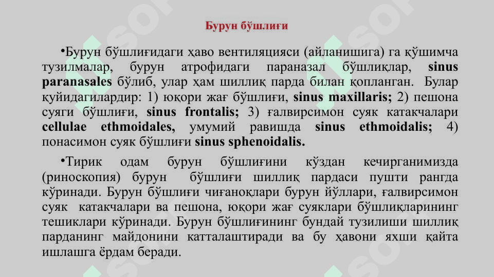 Нафас олиш тизими. Бурун бўшлигининг тузилиши. Хиқилдоқ. 8