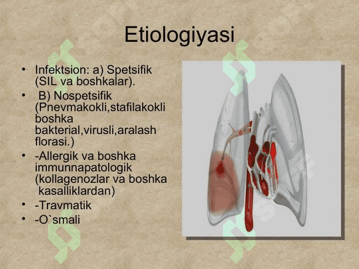 #Plevritlar #slayd 4