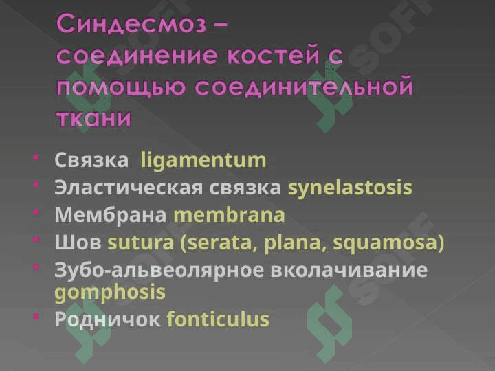Тема лекции: « Общее учение о соединениях костей. Непрерывные и прерывистые соединения. Строение и функции суставов» 5