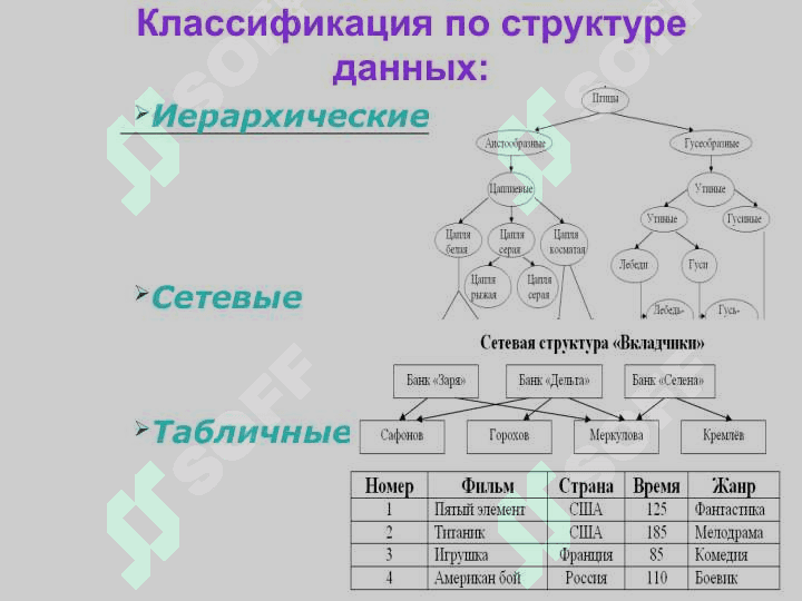 База Данных Хранение, поиск и сортировка информации 5