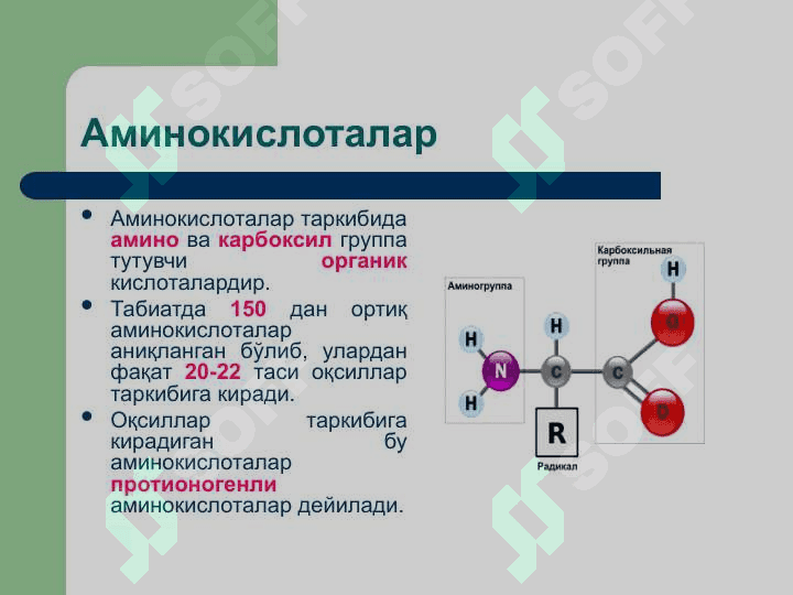 Oqsillar yoki proteinlar ОҚСИЛЛАР ёки ПРОТЕИНЛАР 5