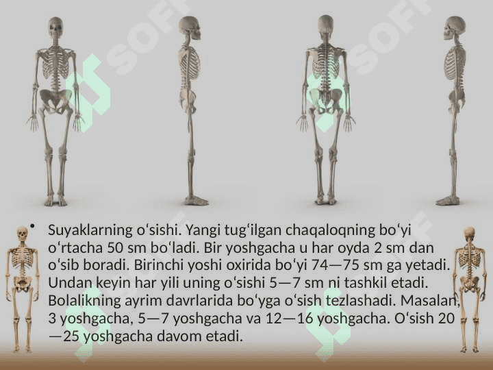 Suyaklarning tuzilishi va o‘sishi 6