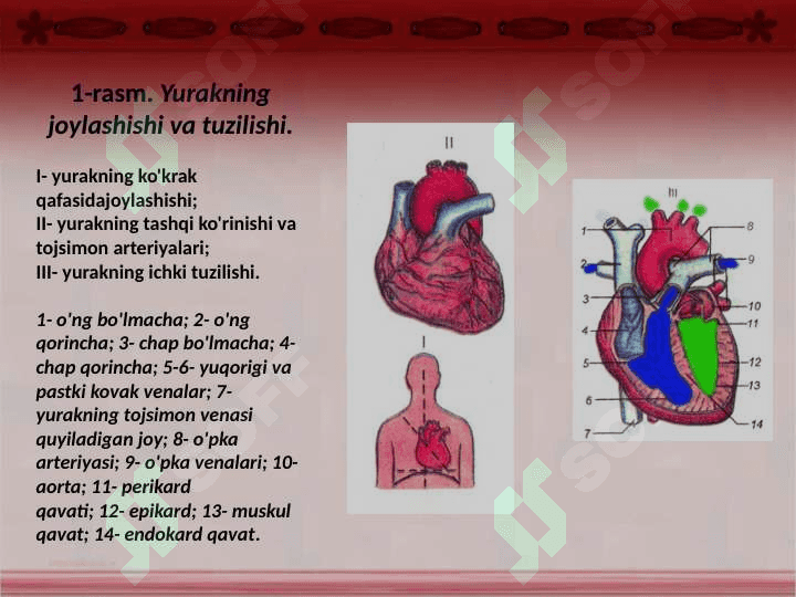 Qon haqida umumiy tushuncha 4