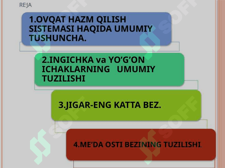 Meda va ichakda ovqat hazm qilish sistemasi. 2