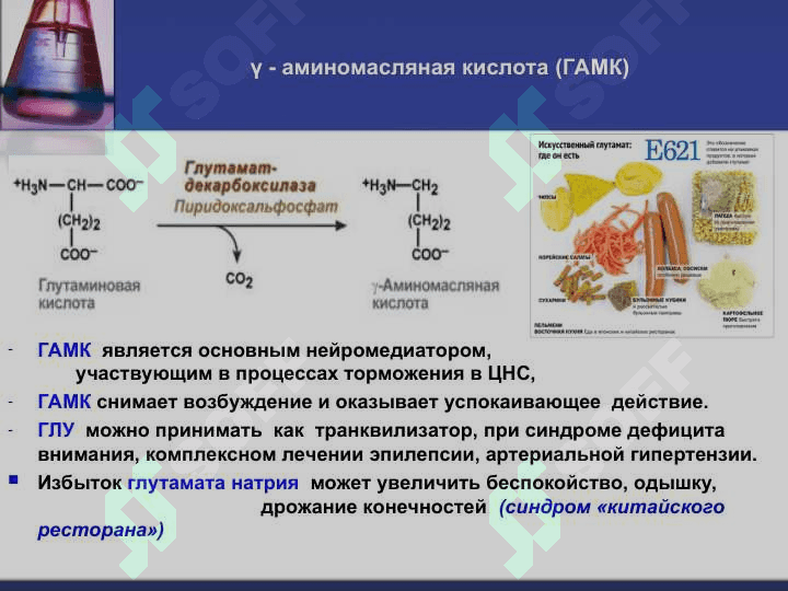 Обмен аминокислот 8