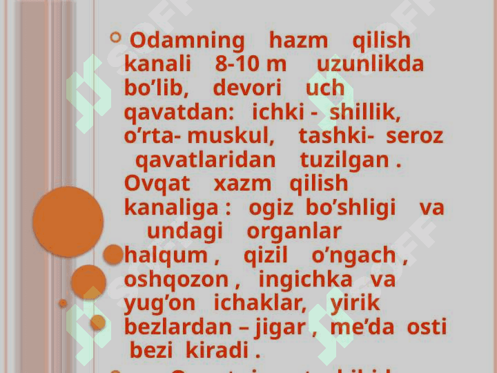 Ovqat hazm qilish tizimining umimiy tuzilishi 4