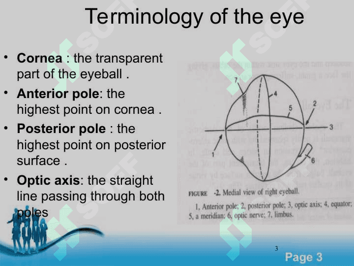 The Eyes 3